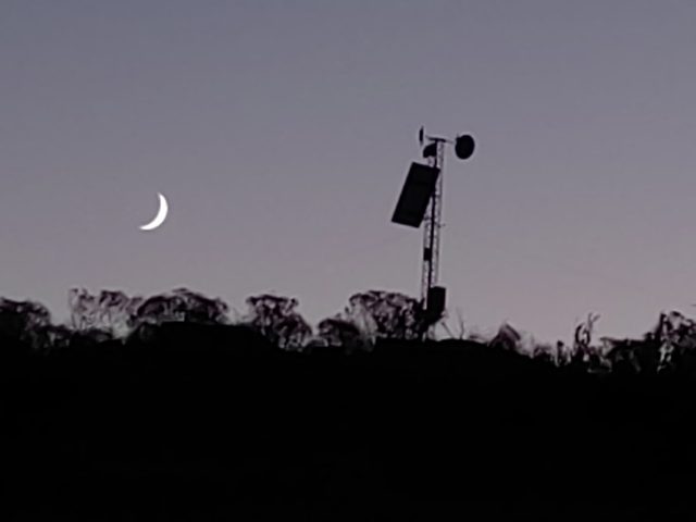 Luna creciente al amanecer sobre la silueta de los árboles